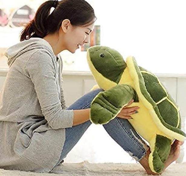 Tortoise soft toy (Imported)